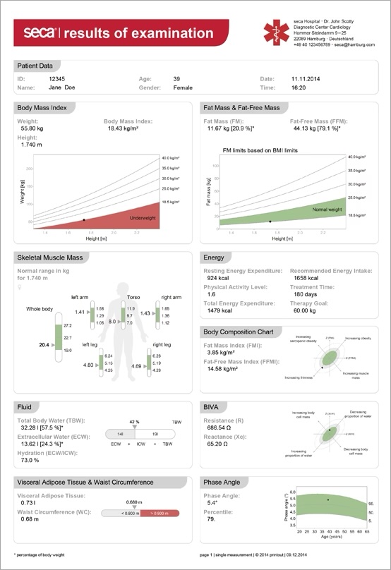 Example Report 1